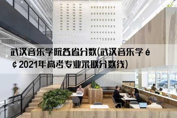 武汉音乐学院各省分数(武汉音乐学院2021年高考专业录取分数线)