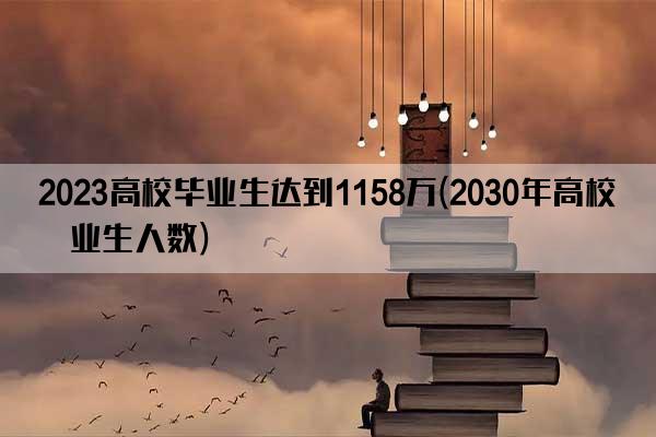 2023高校毕业生达到1158万(2030年高校毕业生人数)